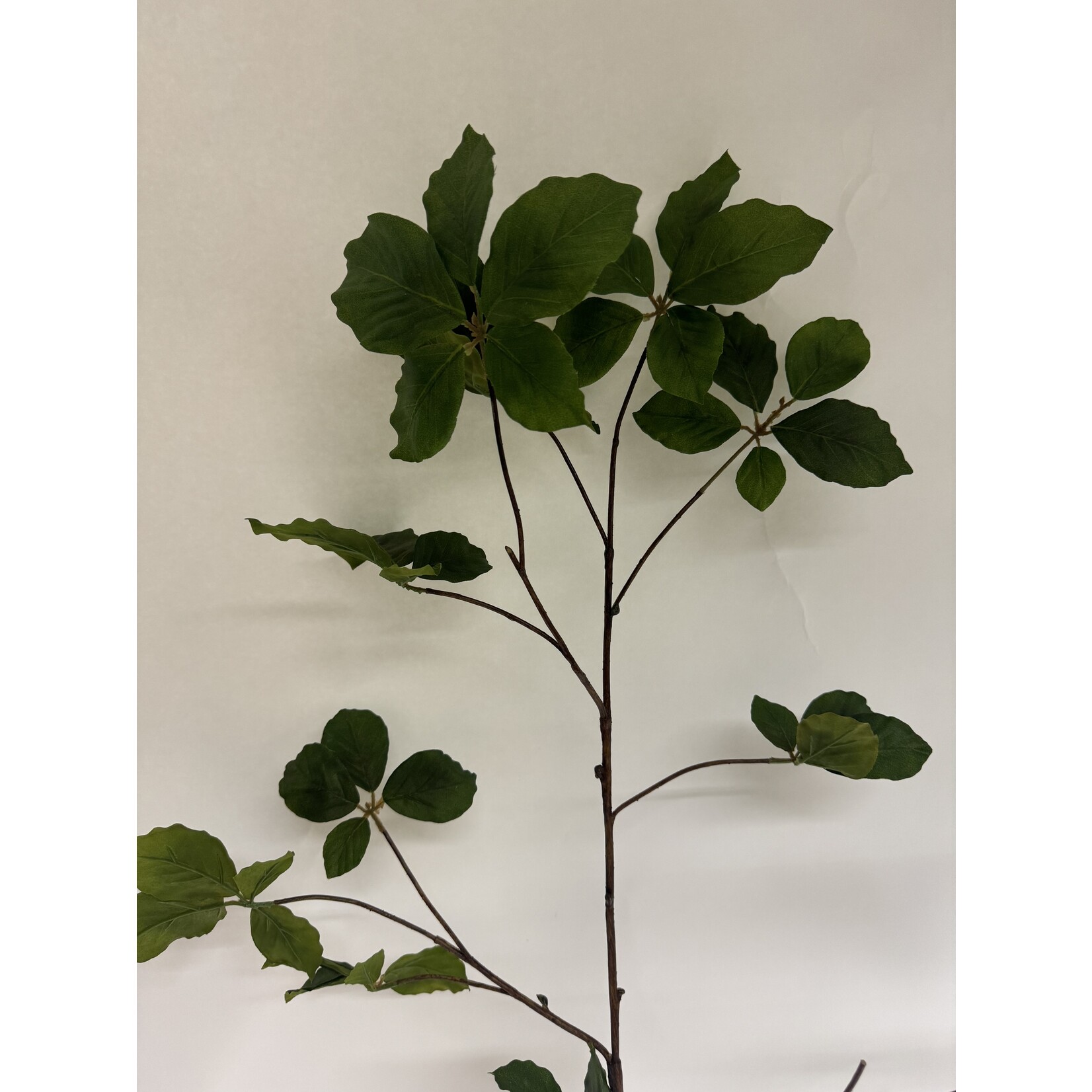 BLAD TAK FAGUS | GROEN |  105 CM