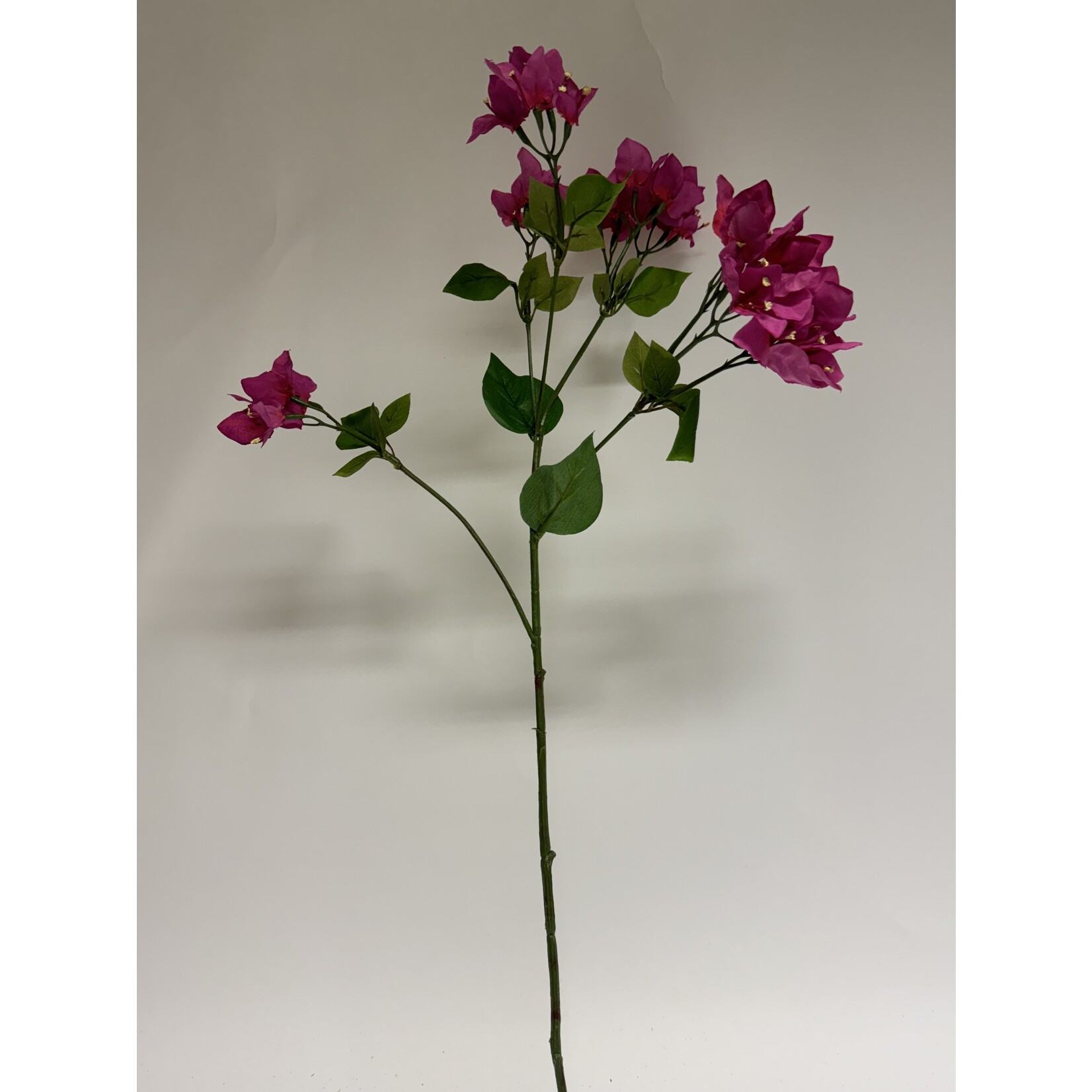 BOUGAINVILLEA ALEXANDRA | PINK  | 91 CM