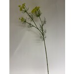 DILL | YELLOW | 87 CM