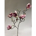 MAGNOLIA | ROZE | 80 CM