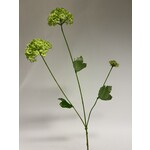 VIBURNUM | GREEN | 70 CM