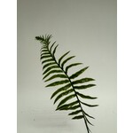 FERN LEAF SINGLE |GREEN | 40 CM