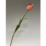 TULP | ROZE | 66 CM