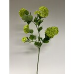 VIBURNUM | GREEN | 80 CM