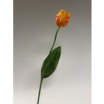 TULIP | ORANGE  | 64 CM