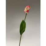 TULIP | PINK WHITE  | 64 CM