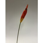 FOXTAIL | RED | 70 CM