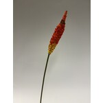 THORN BRANCH | RED | 70 CM