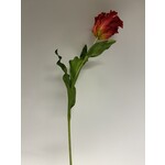 PARROT TULIP | RED | 83 CM