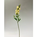 SNAPDRAGON | YELLOW | 69 CM