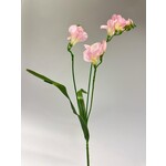 FREESIA| ROZE | 60 CM