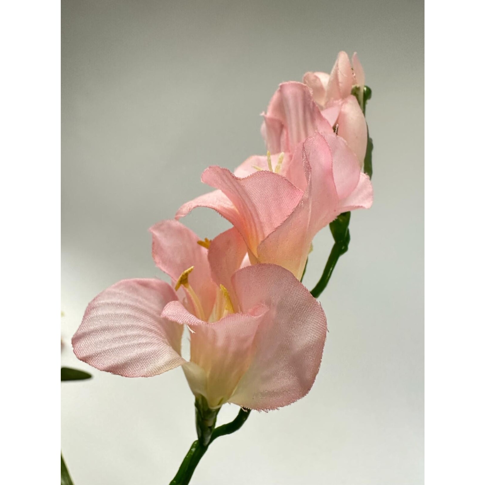 FREESIA| ROZE | 60 CM