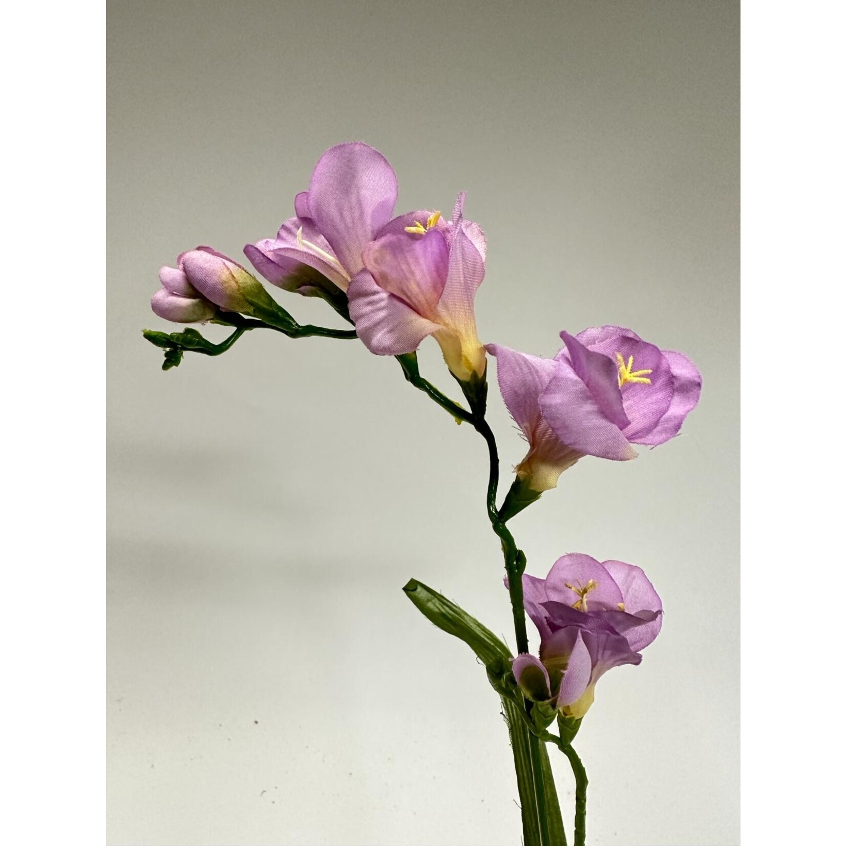 FREESIA| LILA | 60 CM