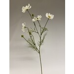 COSMEA | WIT | 72 CM