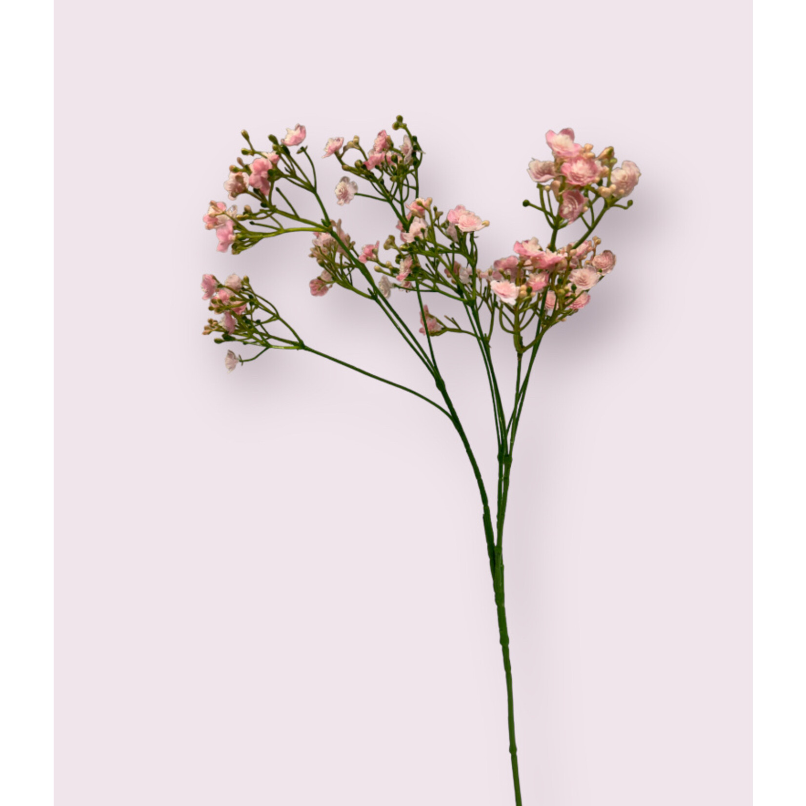 BABY'S BREATH ROSEA | PINK | 70 CM