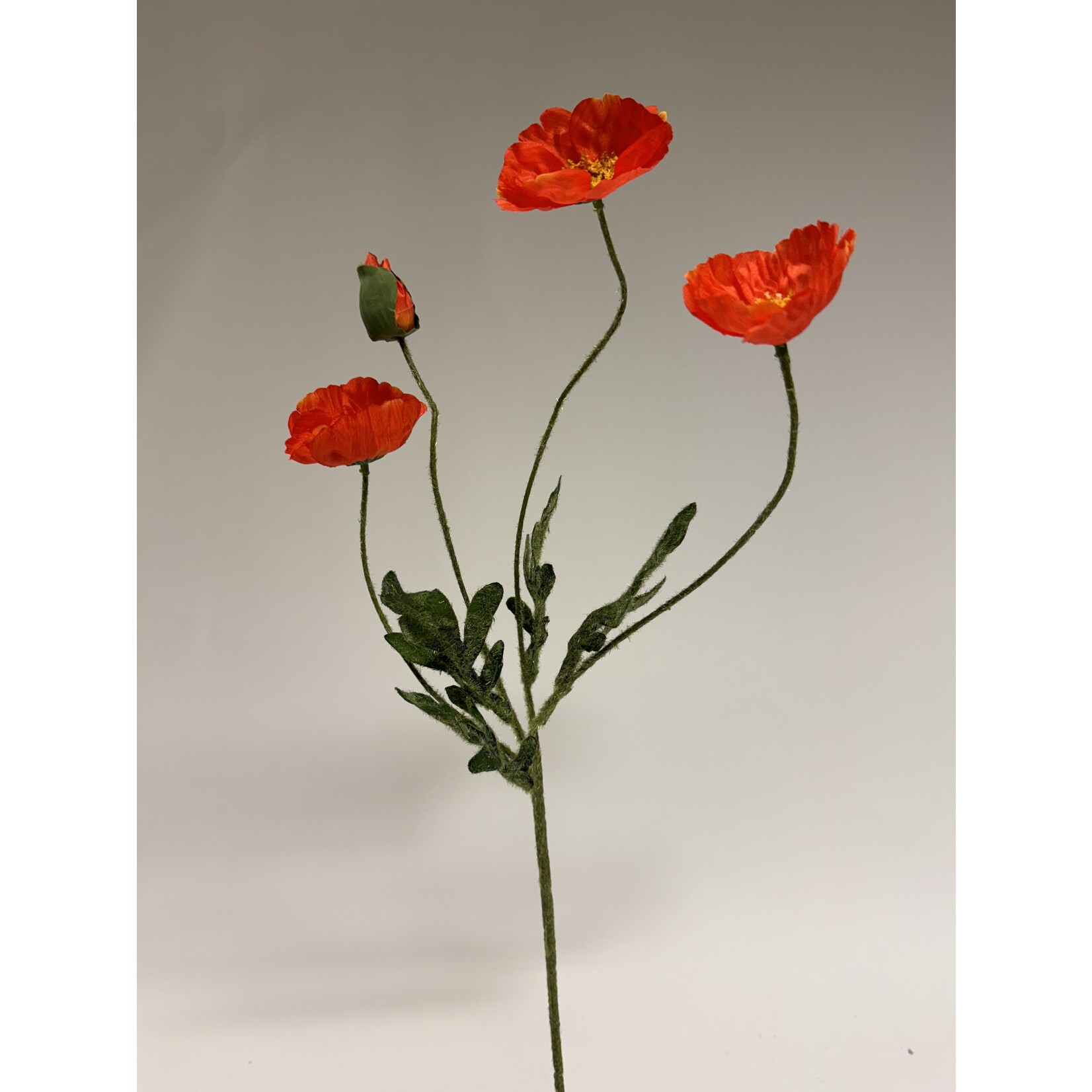 POPPY X4 | ORANGE | 61 CM