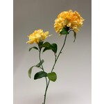 MARSH ROSE | YELLOW | 78 CM