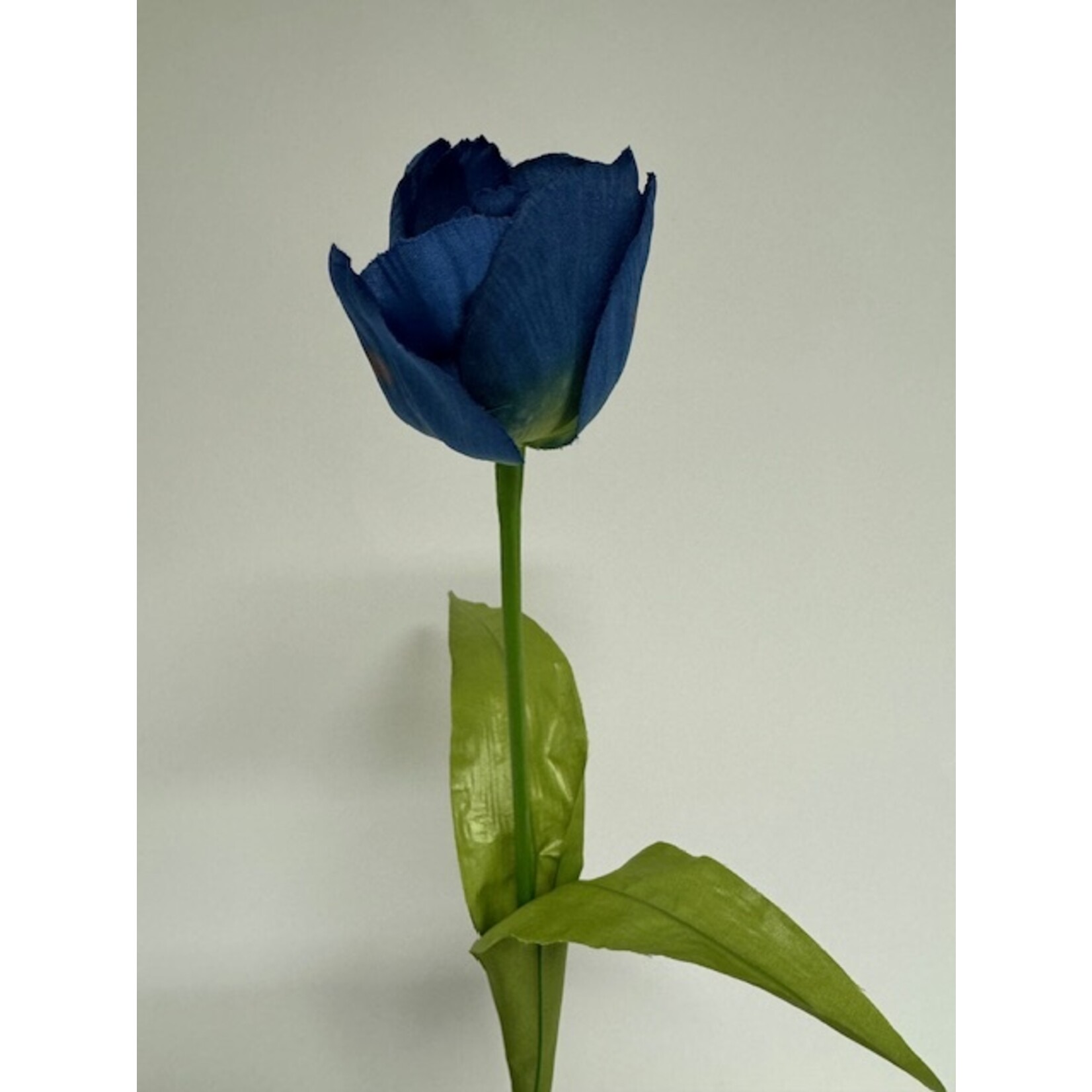 TULP ROYAL BLUE | BLAUW | 53 CM