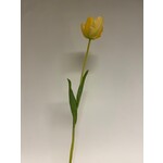 TULP | GEEL | 63 CM