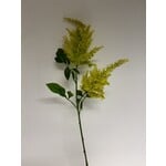 PLUIMSPIREA | GROEN GEEL | 80 CM