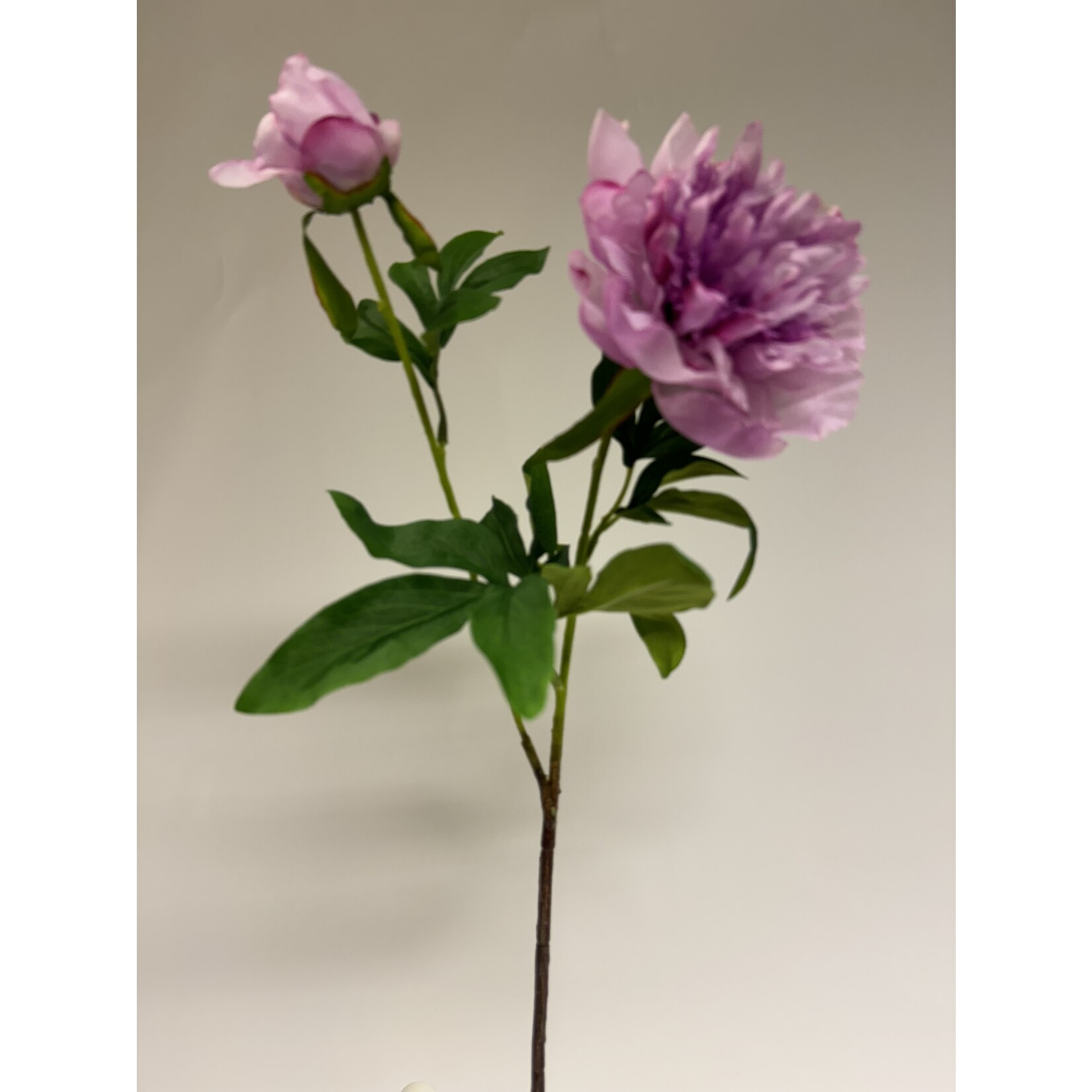 PEONY UNIQUE | MAUVE LILAC | 65 CM