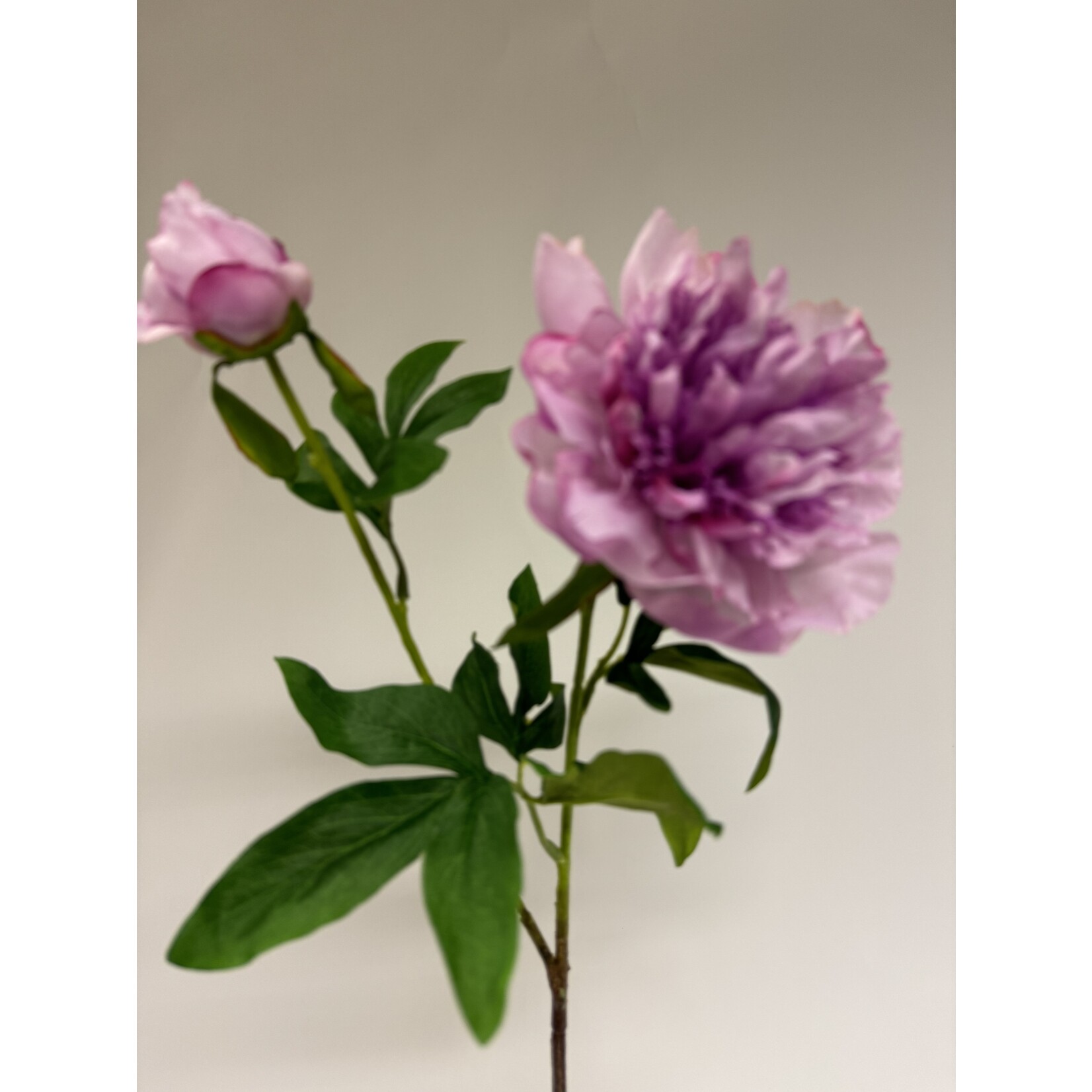 PEONY UNIQUE | MAUVE LILAC | 65 CM