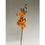 LILY | ORANGE | 64 CM