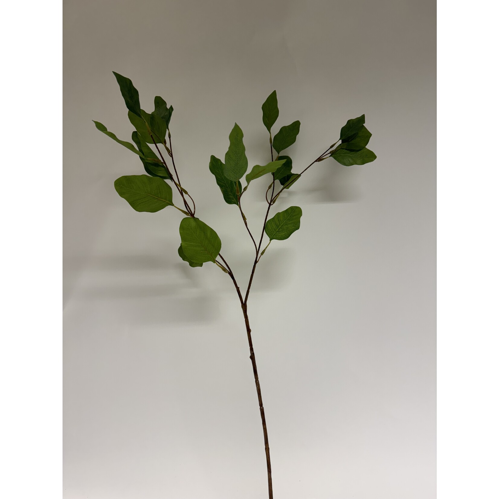 EUCALYPTUS FINE | GREEN | 84 CM