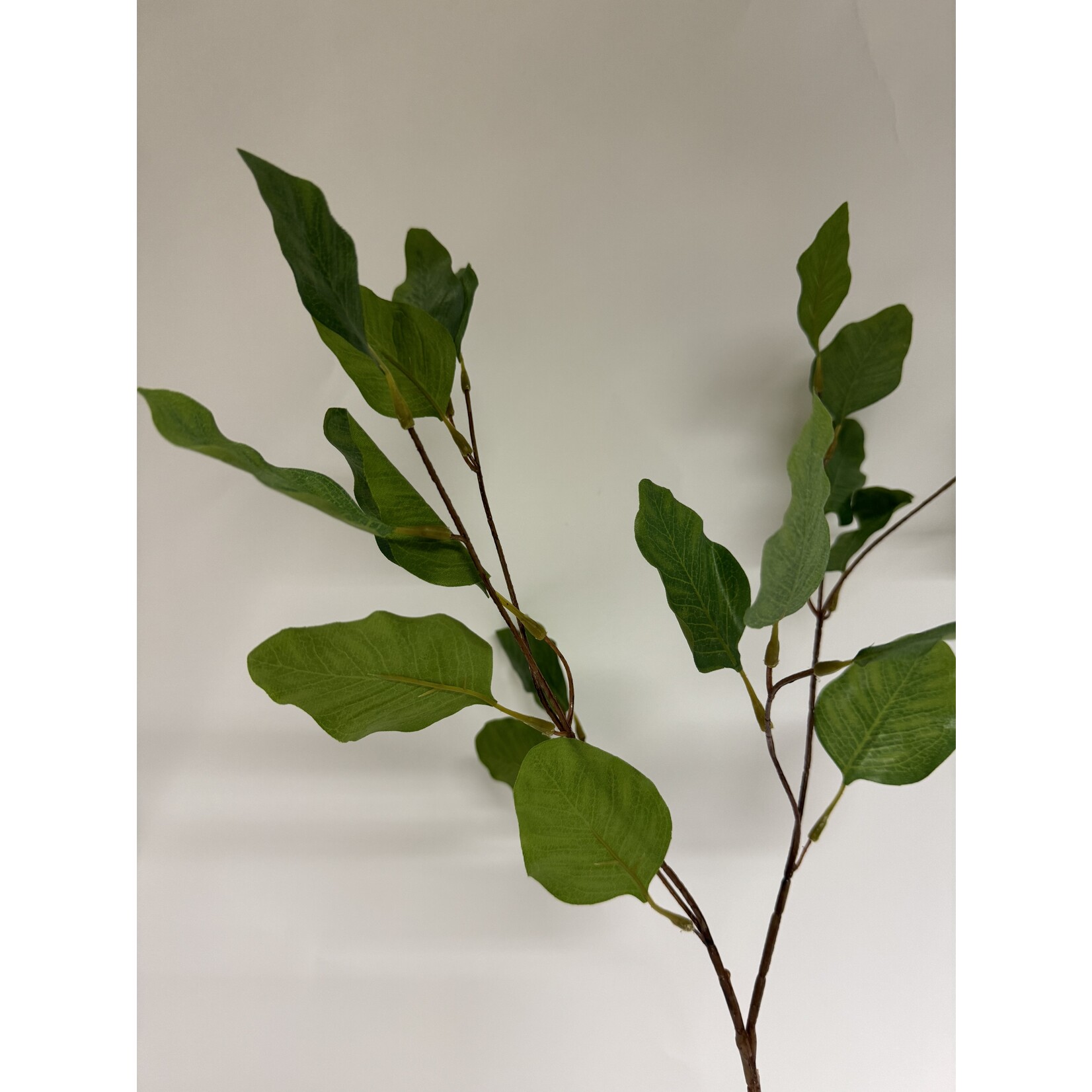 EUCALYPTUS FINE | GREEN | 84 CM