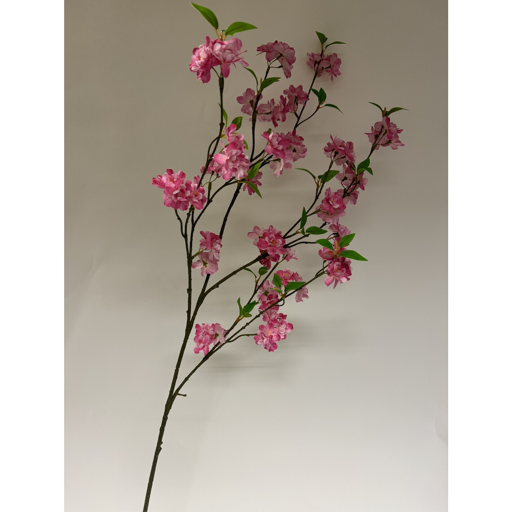 BLOSSOM PINK LADY | PINK | 127 CM