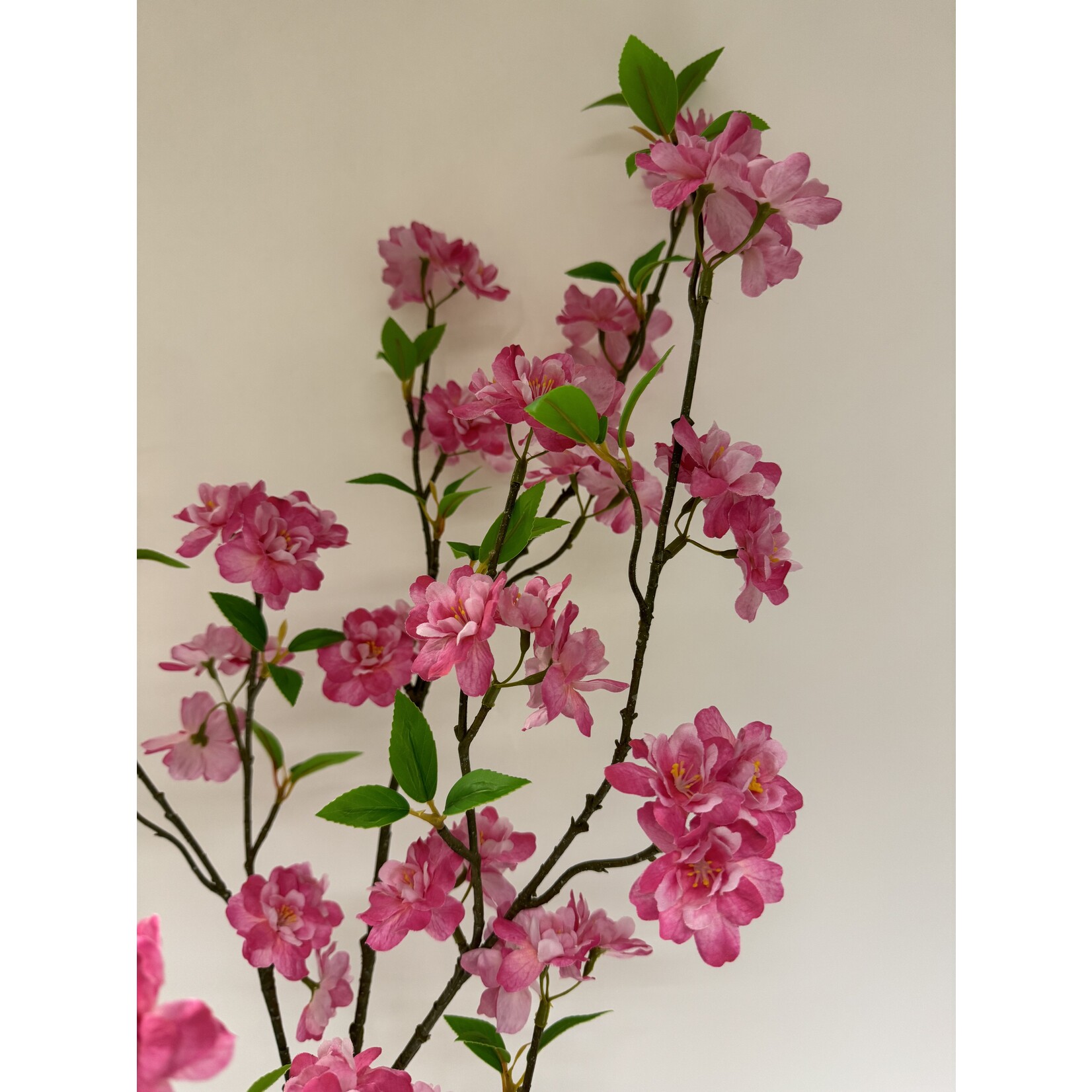 BLOESEM PINK LADY | ROZE | 127 CM