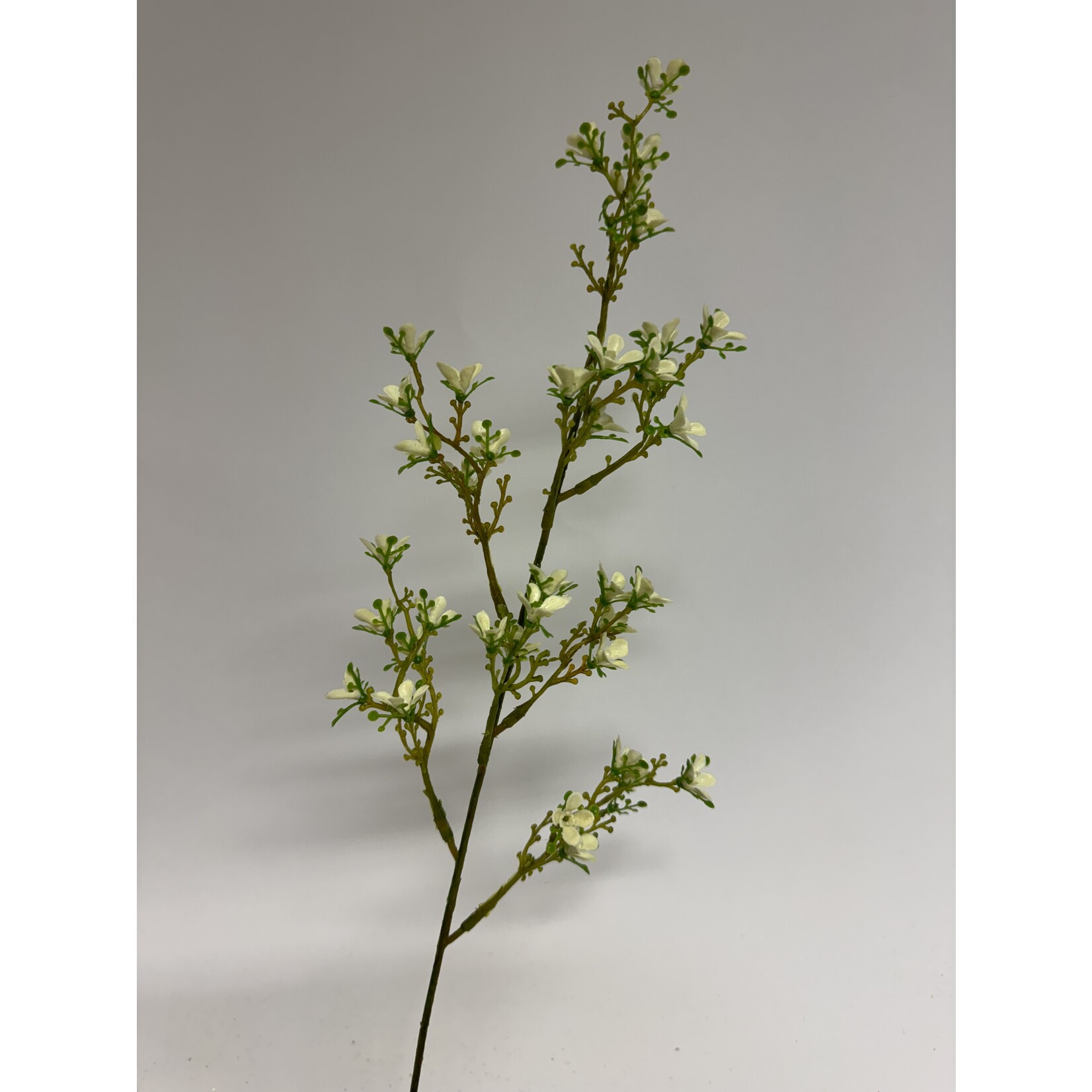 JASMIJN KORT | WIT |  48 CM