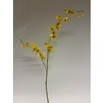 TIJGER ORCHIDEE | GEEL | 87 CM