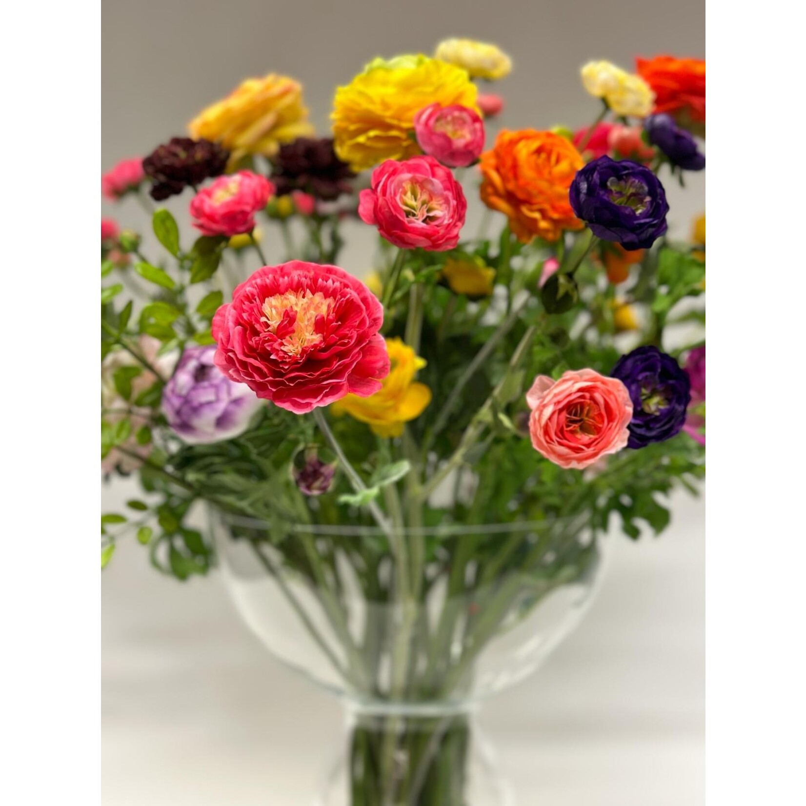 BOUQUET HAPPY RANUNCULUS | MULTI COLOR