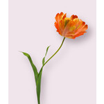 TULP | ROZE ORANJE | 62 CM