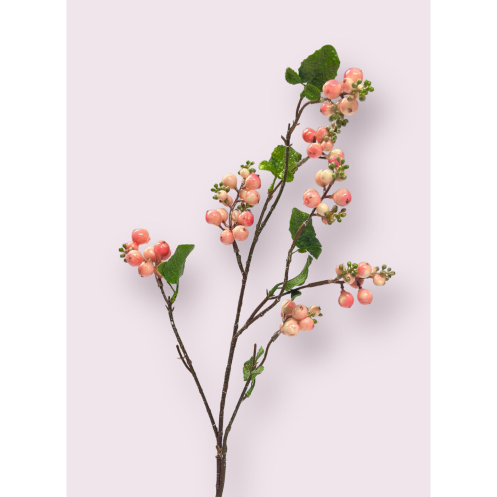 SNOWBERRY  HANCOCK | PINK | 77 CM