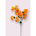 BOUGAINVILLEA | YELLOW  | 91 CM