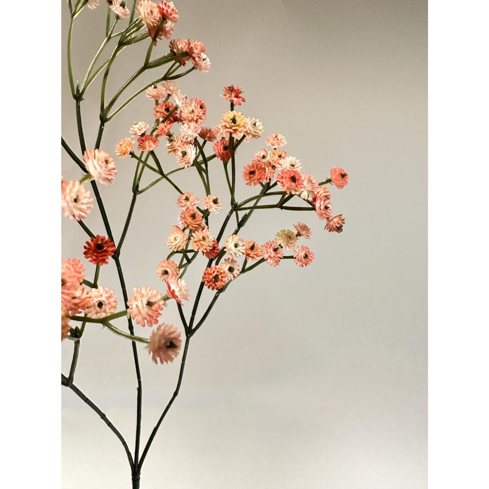 GYPSOPHILA | PEACH | 70 CM