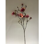 MAGNOLIA TAK | ROZE | 107 CM