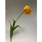 PIOEN TULP | GEEL | 73 CM