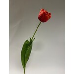 PEONY TULIP | RED | 73 CM