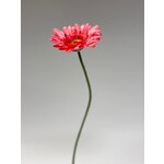 GERBERA | ROZE | 63 CM