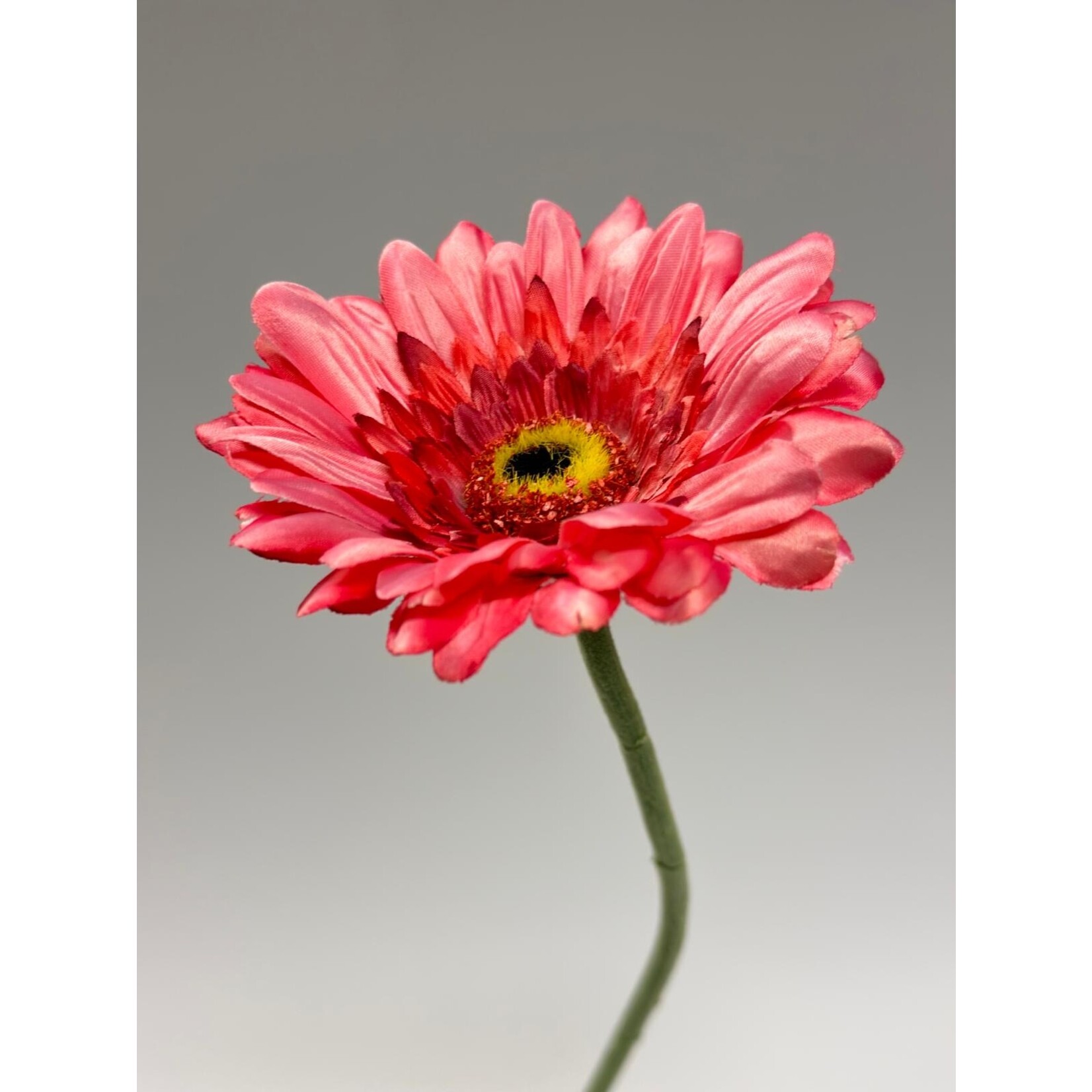 GERBERA | PINK | 63 CM