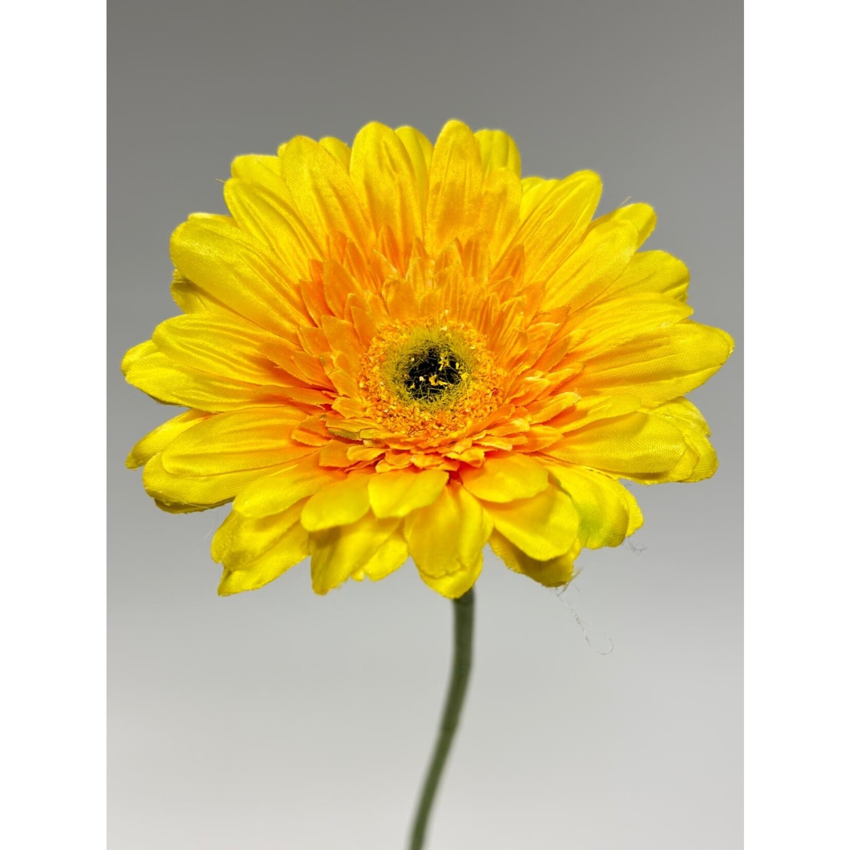 GERBERA | GEEL | 63 CM