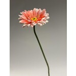 GERBERA | ZALM | 63 CM