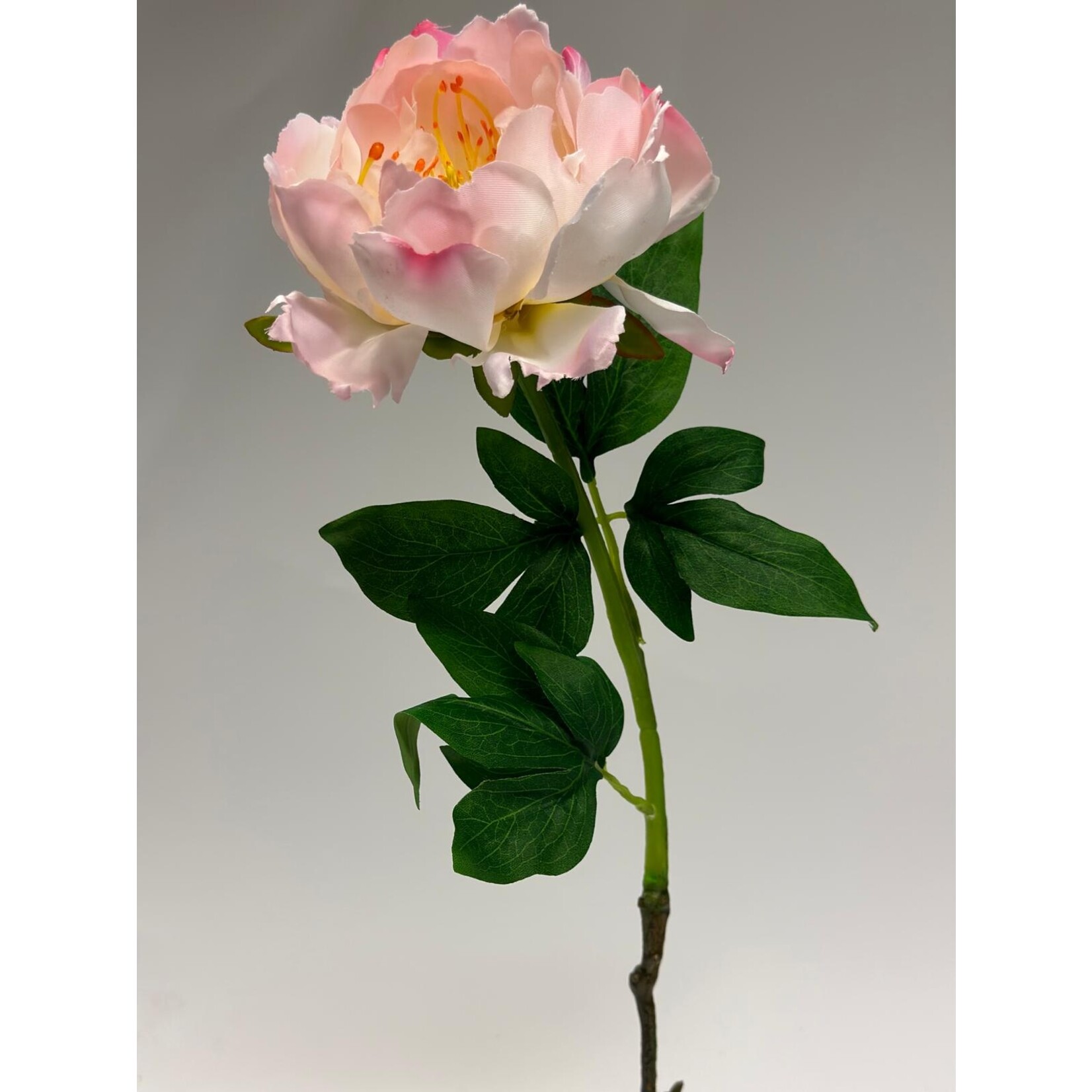 PEONY ATHENA | LIGHT PINK | 51 CM