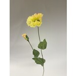 POPPY IN BUD | YELLOW PINK | 73 CM