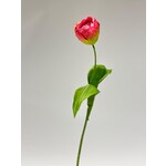 TULP | ROZE | 48 CM