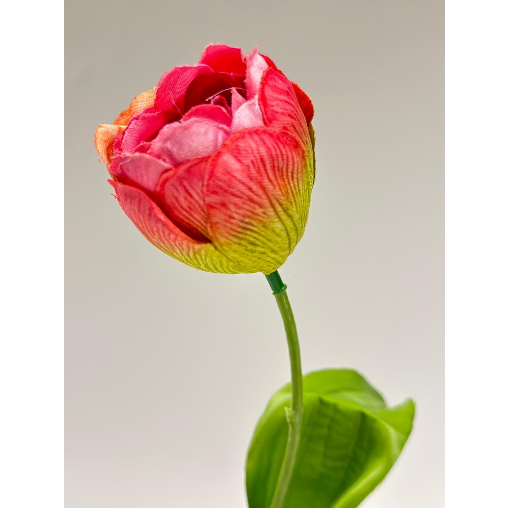 TULIP MELBA | PINK | 48 CM