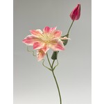 CLEMATIS | PINK | 45 CM